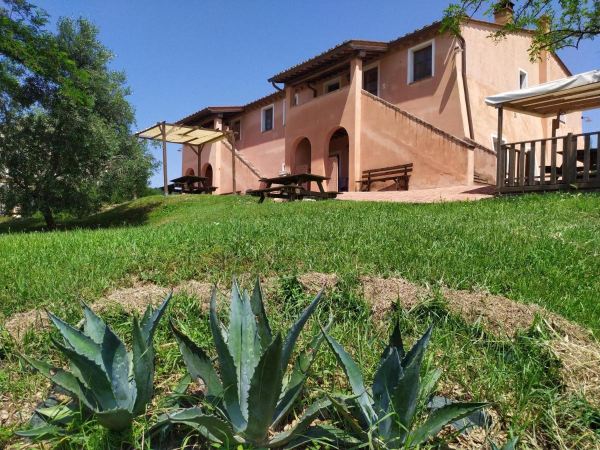 Antonella House -Podere Della Collina ปาลายา ภายนอก รูปภาพ